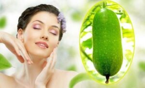 468602269 1103108481821852 3138029031288148891 n