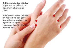 57840006 2152007311756961 6257410932410941440 n