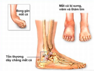Anh chup Man hinh 2025 02 05 luc 09.49.58