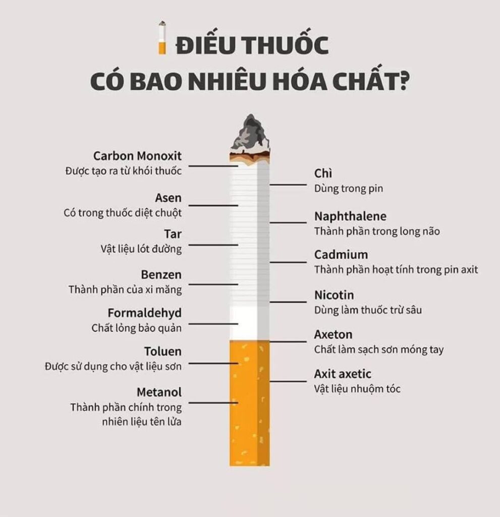 489777969 1213332484132784 3245460710815837658 n