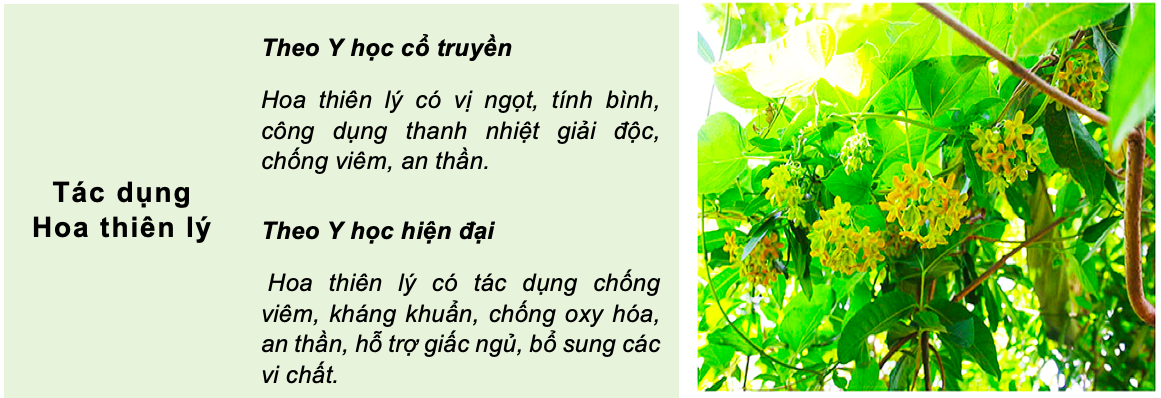 Anh chup Man hinh 2025 04 26 luc 15.27.50