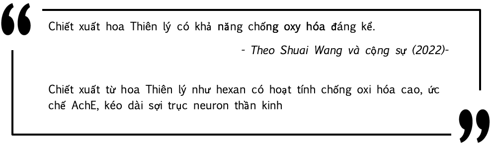 Anh chup Man hinh 2025 04 26 luc 15.36.31