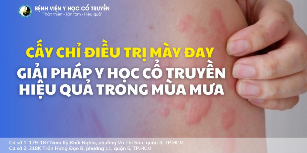 500368498 1256086513190714 4204601012099639688 n