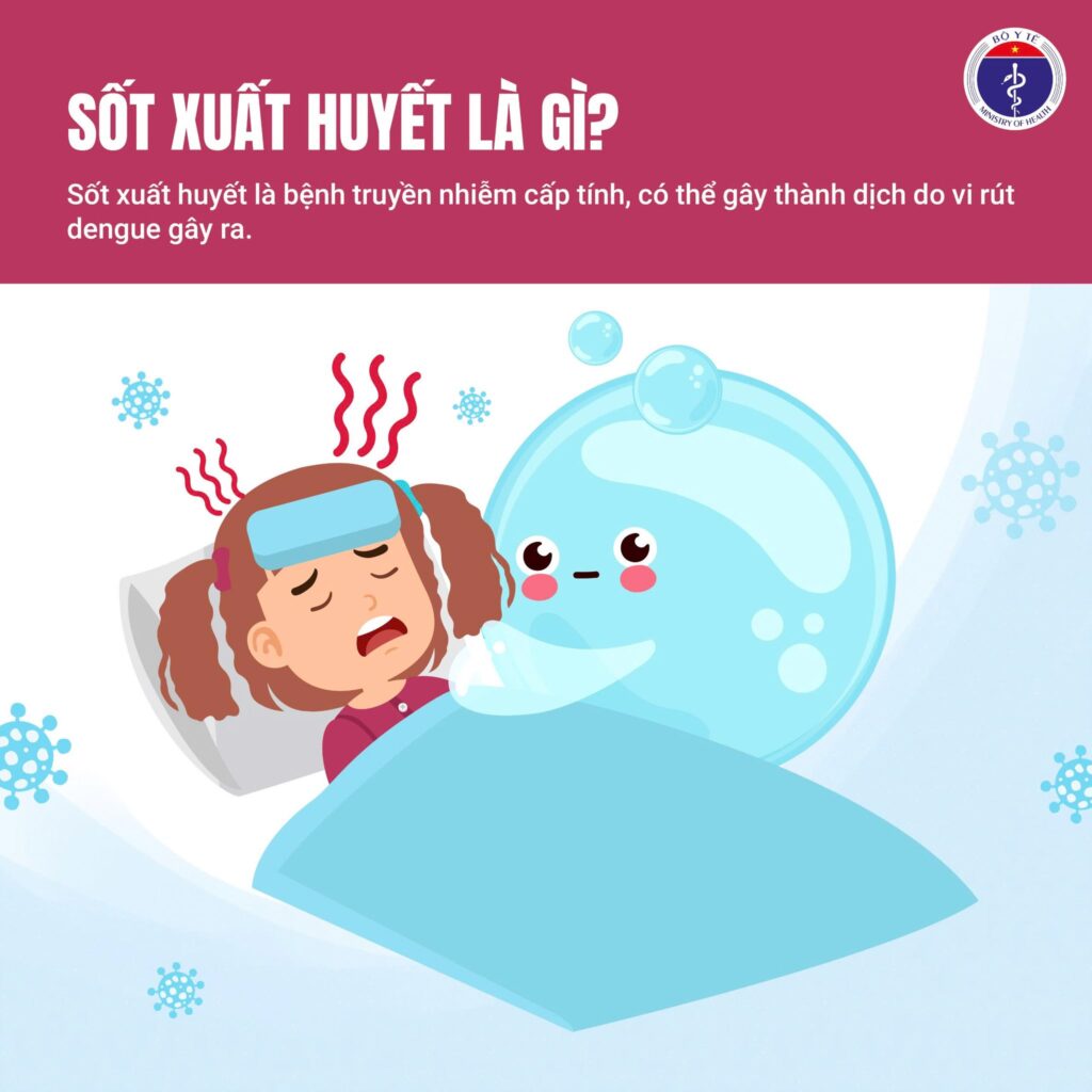 502438024 1256731859792846 3438665017815934689 n