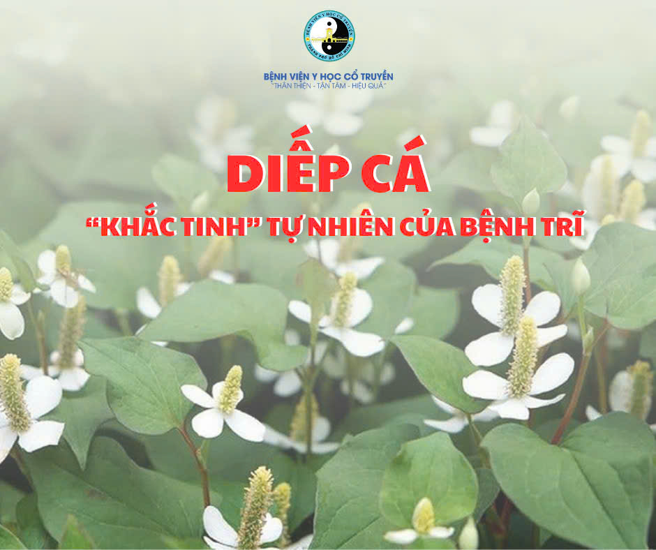 b37f0883fa604f3e1671