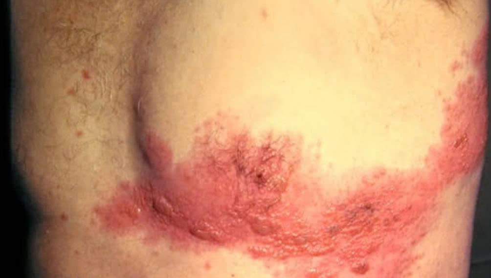 505639225 1266141698851862 1309610146466468159 n