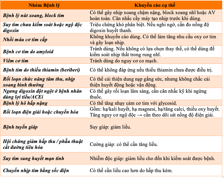 Anh chup Man hinh 2025 07 21 luc 20.23.49