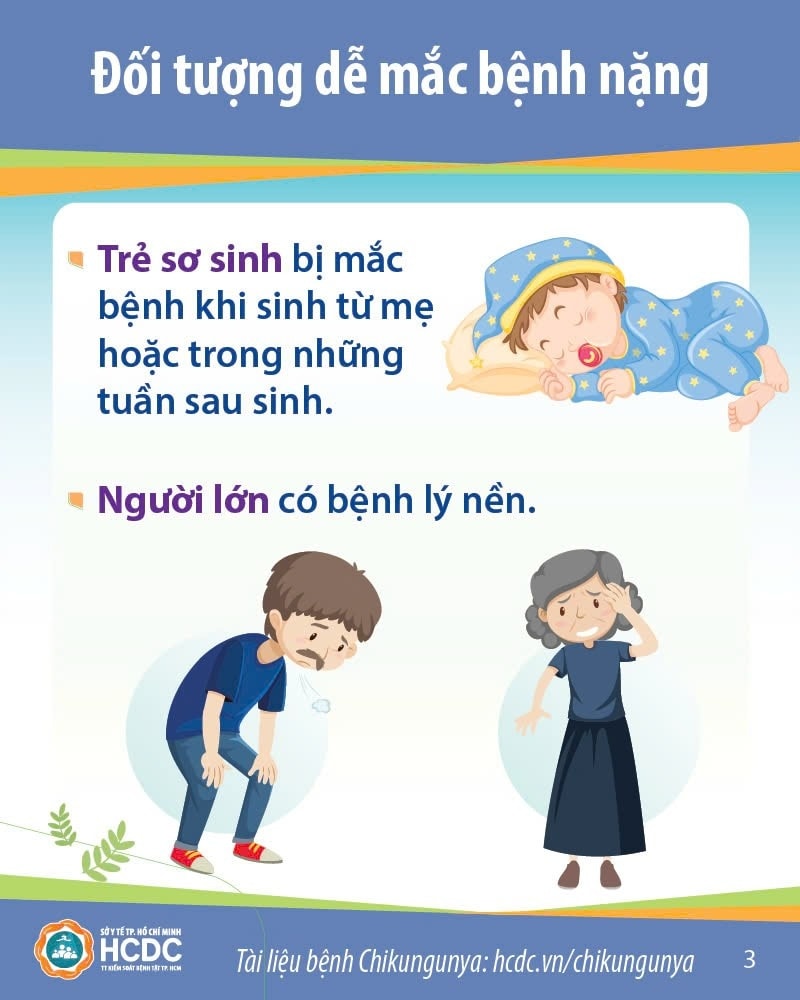 534823007 1329995659133132 2084411194766385678 n