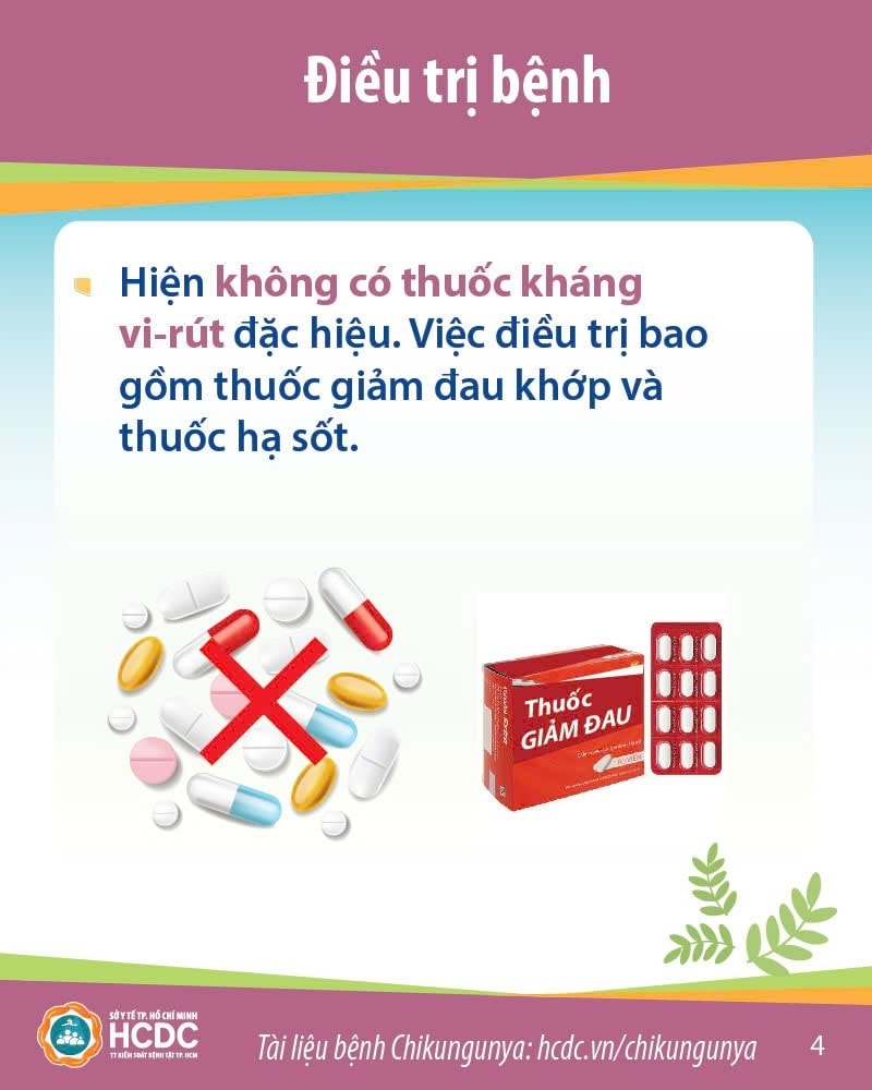 535004660 1329995672466464 5434052348303130120 n