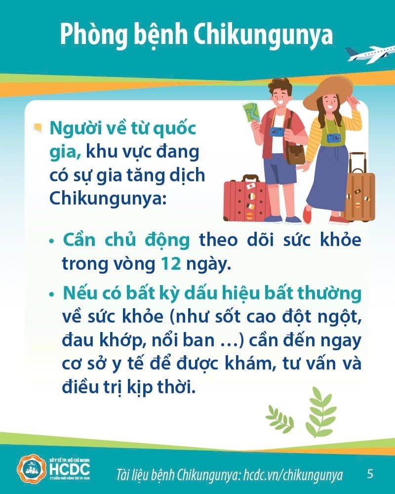 535904056 1329995682466463 7211026526406025813 n