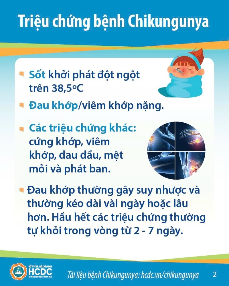 535918991 1329995675799797 3948423909936010892 n