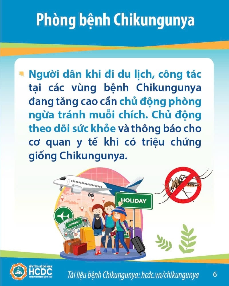 536287453 1329995679133130 4253607030676274601 n