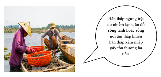 Anh chup Man hinh 2025 10 29 luc 20.31.08