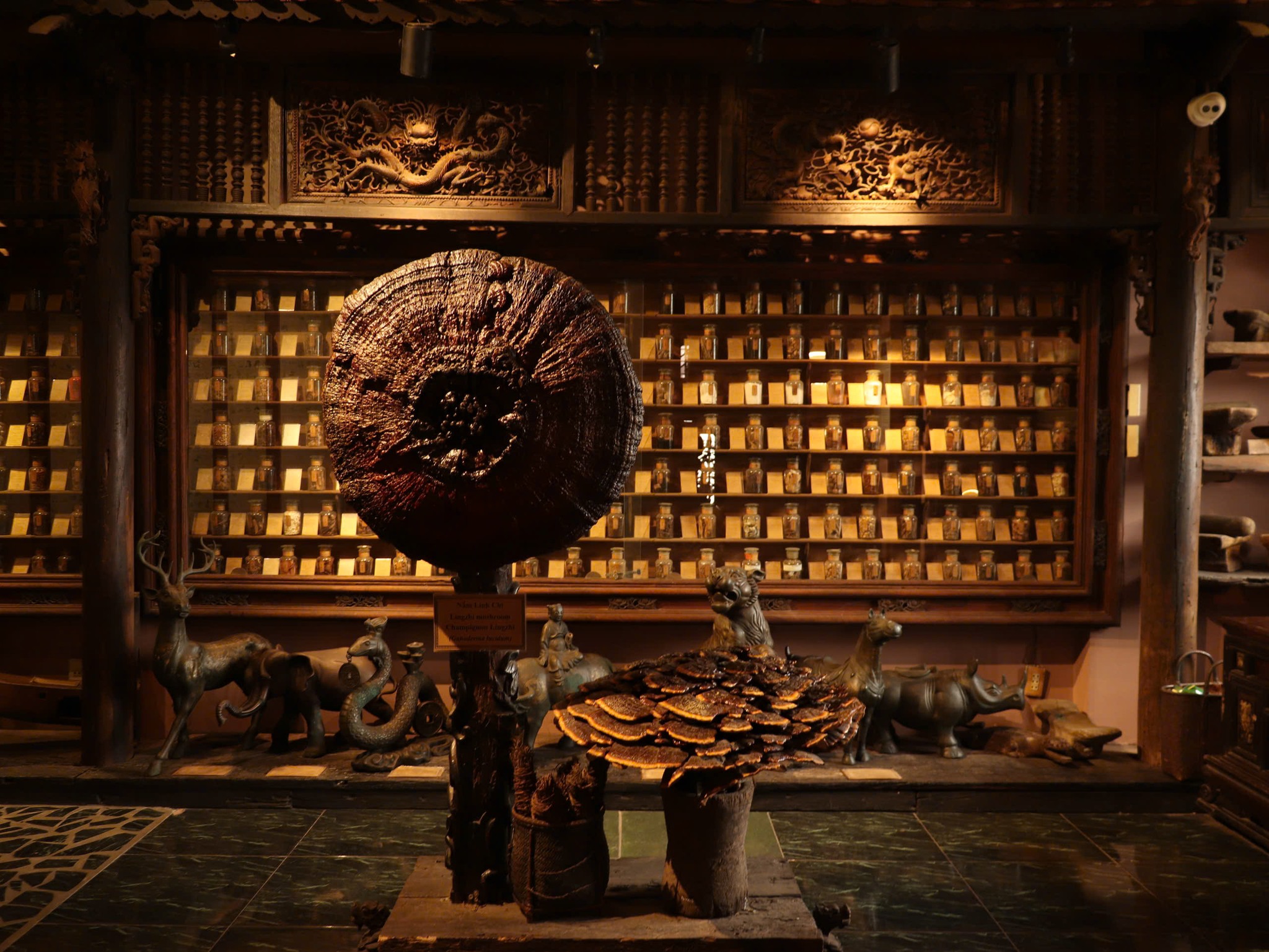 648515558 1512722774193752 109765149973863257 n