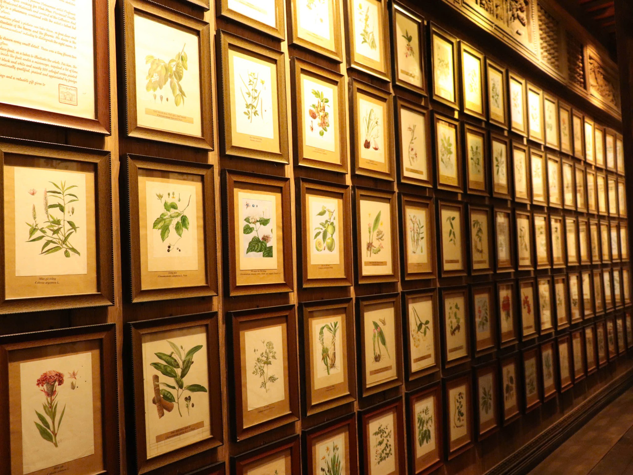 649266651 1512719474194082 572810400247127384 n