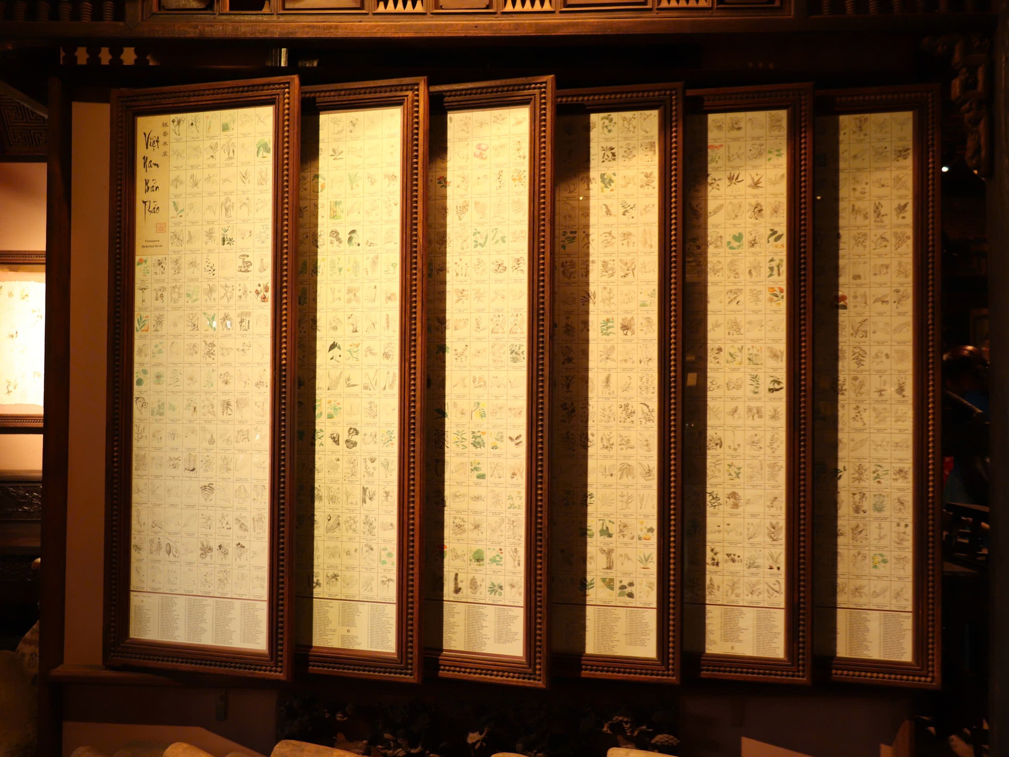 649487333 1512719470860749 5094912638152720289 n