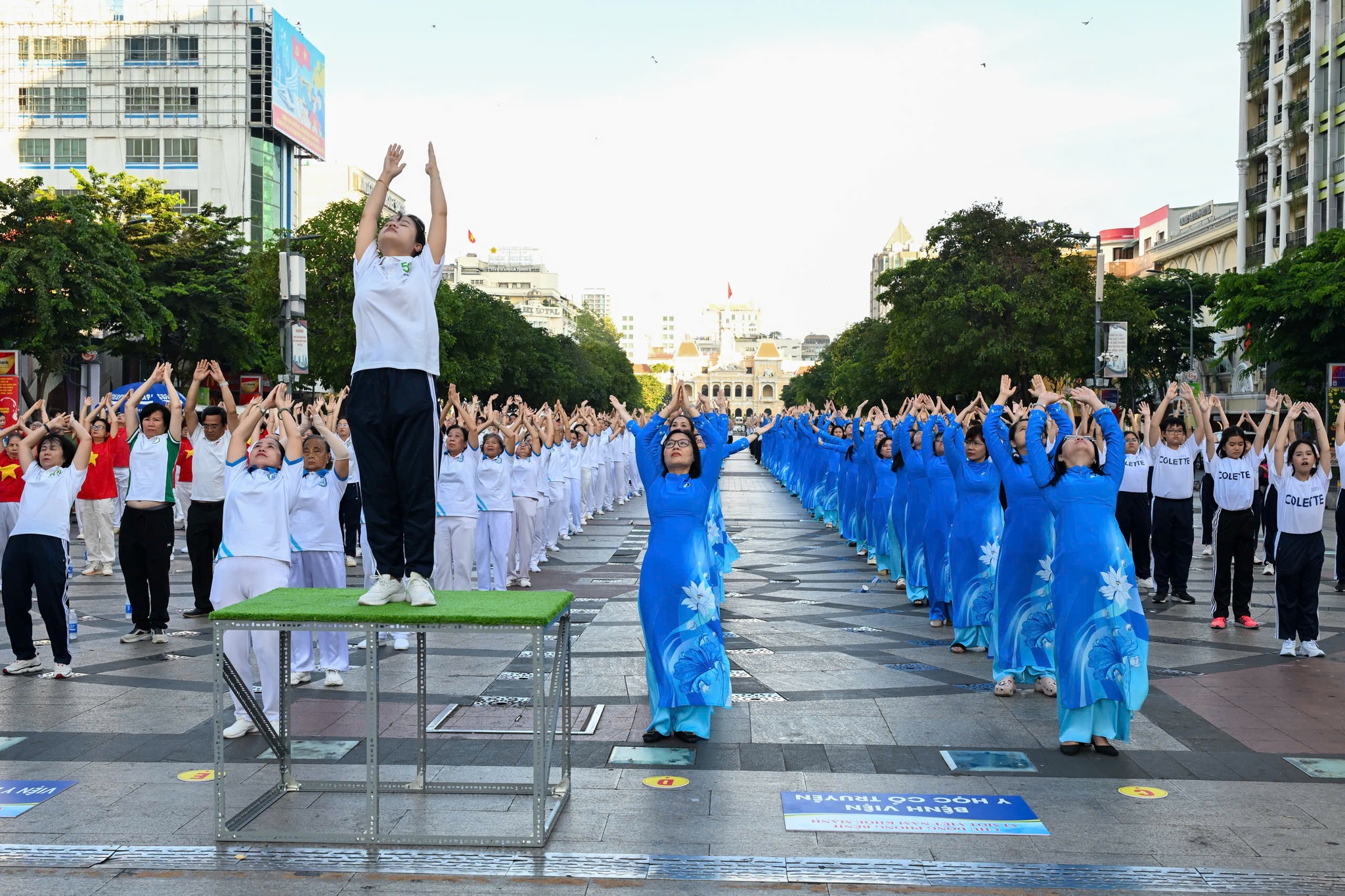 667739433 1538508471615182 2720882902568872294 n