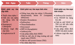 Anh chup Man hinh 2026 05 21 luc 11.27.53